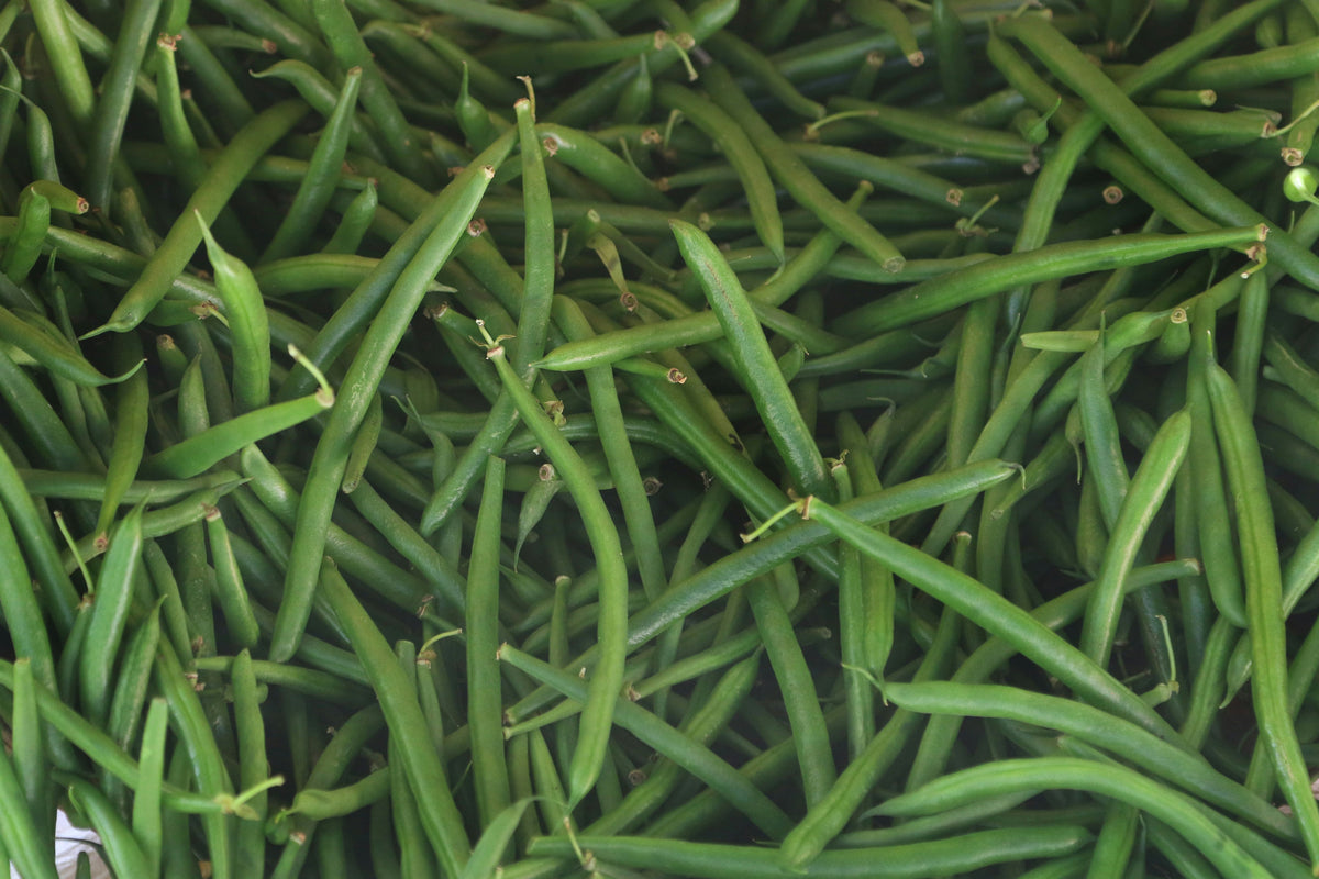 Green beans in a pile close up. Leave outside for deer who eat green beans if you want to attract deer.