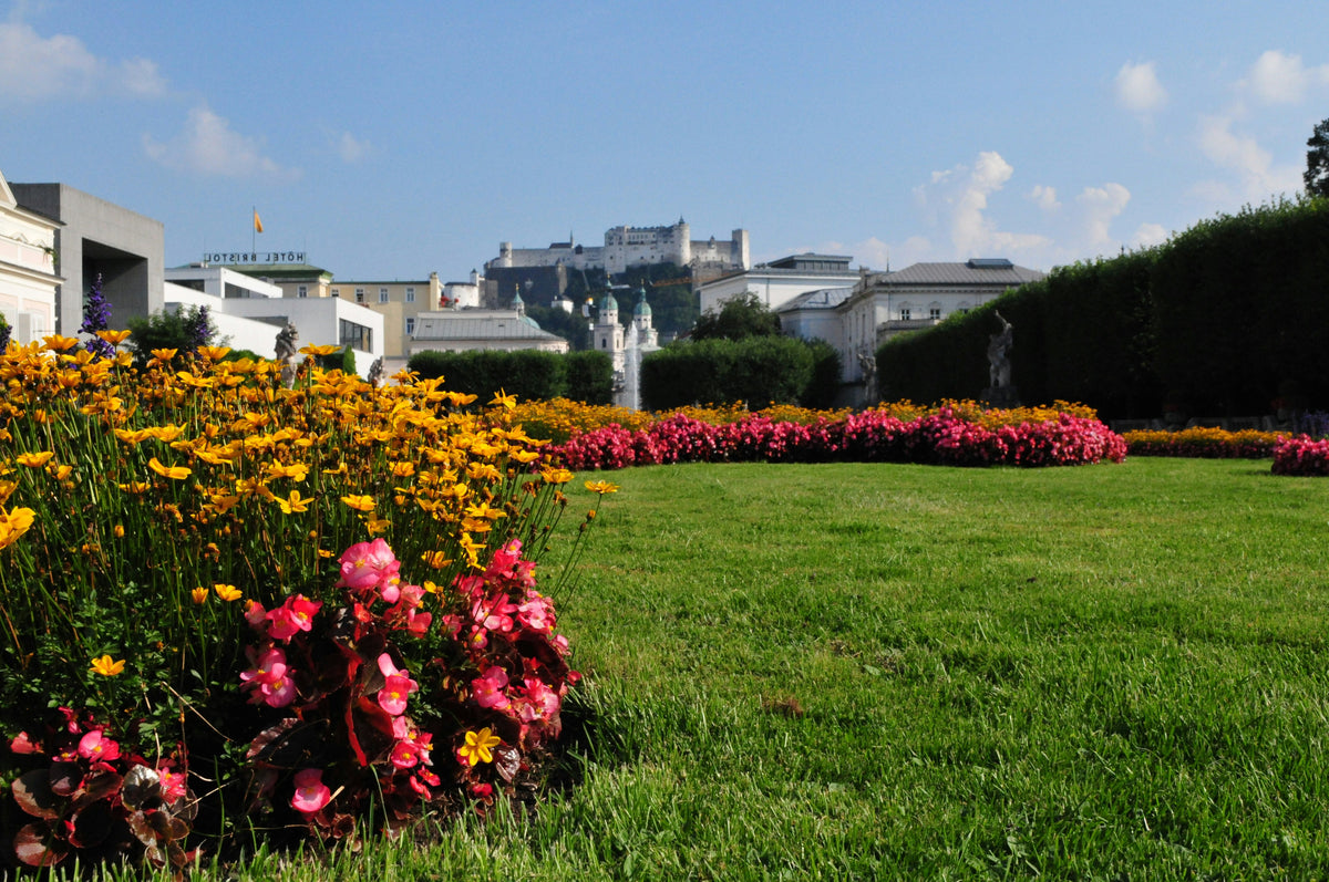 A vibrant floral garden of pink and yellow hues is in a winding route shaped by a mulch bed edger. There is a sharp contrast between the lawn and the garden.