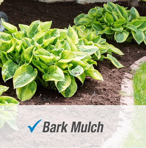 Pulverize Weed & Grass Killer | Fast, Non-Staining Formula