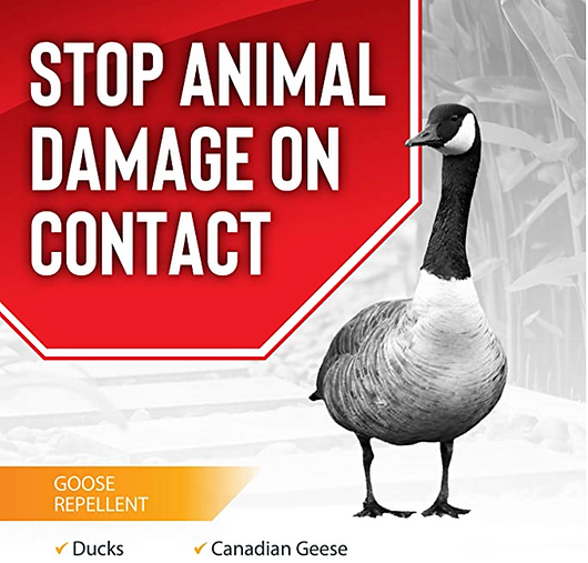 Goose Stopper Liquid Animal Repellents