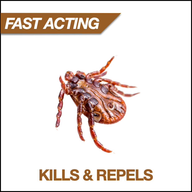 Deplete Outdoor Insecticides
