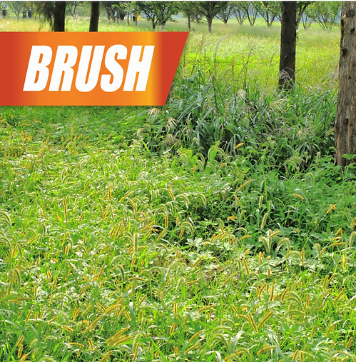 Pulverize Weed, Brush & Vine Killer | Kills Roots Fast