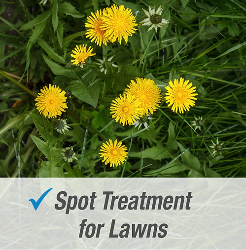 Pulverize Weed & Grass Killer | Fast, Non-Staining Formula