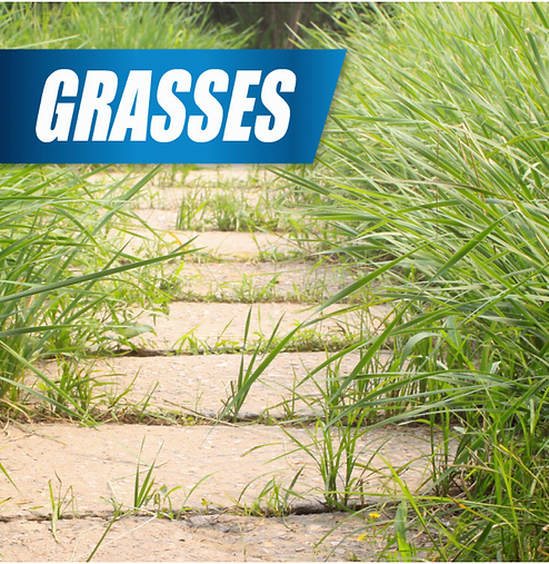 Pulverize Weed & Grass Killer | Fast, Non-Staining Formula
