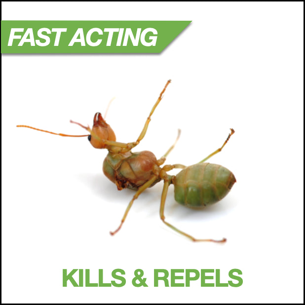 Deplete Indoor Insecticide | Safe, Natural Bug Killer