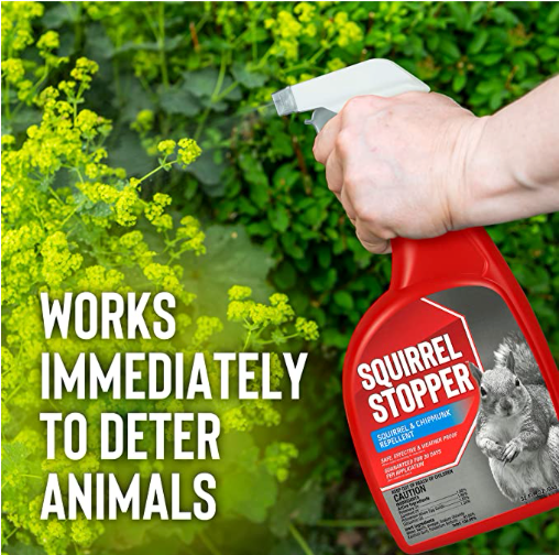 Squirrel Stopper Spray | Natural Squirrel & Chipmunk Repellent
