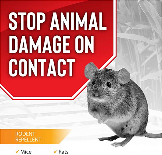 Rodent Stopper | Natural Mouse & Rat Repellent Spray