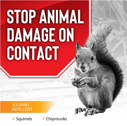 Squirrel Stopper Spray | Natural Squirrel & Chipmunk Repellent