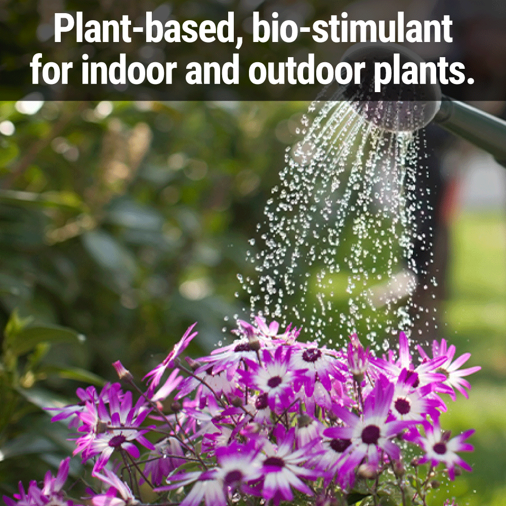 Seedlingers Flower Food | Boost Blooms & Enhance Root Growth