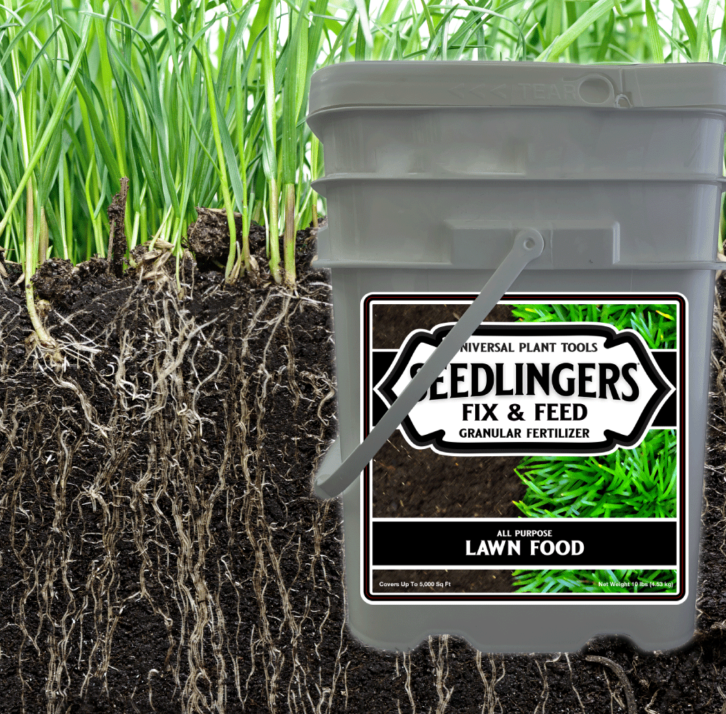 Seedlingers Fix & Feed | All-Purpose Lawn Fertilizer