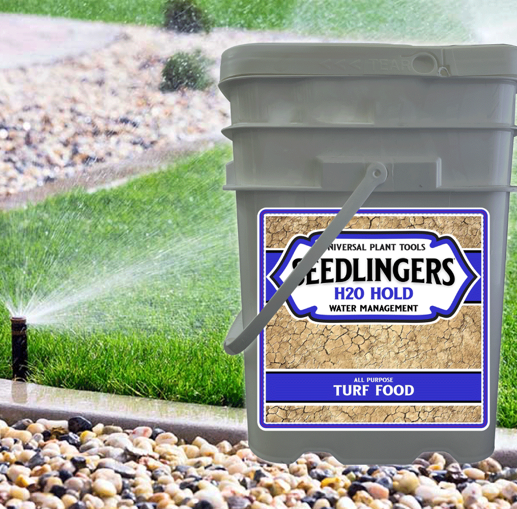 Seedlingers H2O Hold | Turf Fertilizer + Water Enhancer