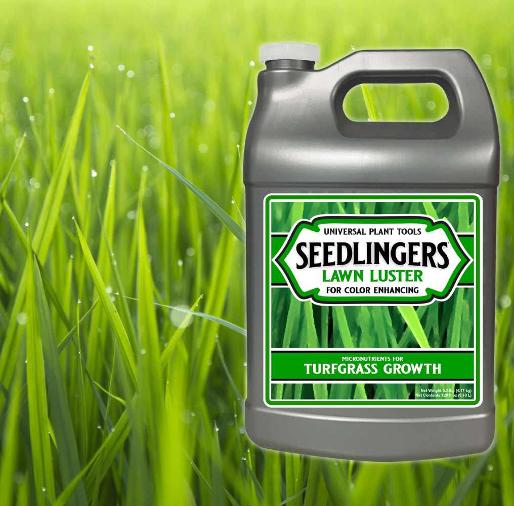 Seedlingers Lawn Luster | Micronutrient Turf Booster