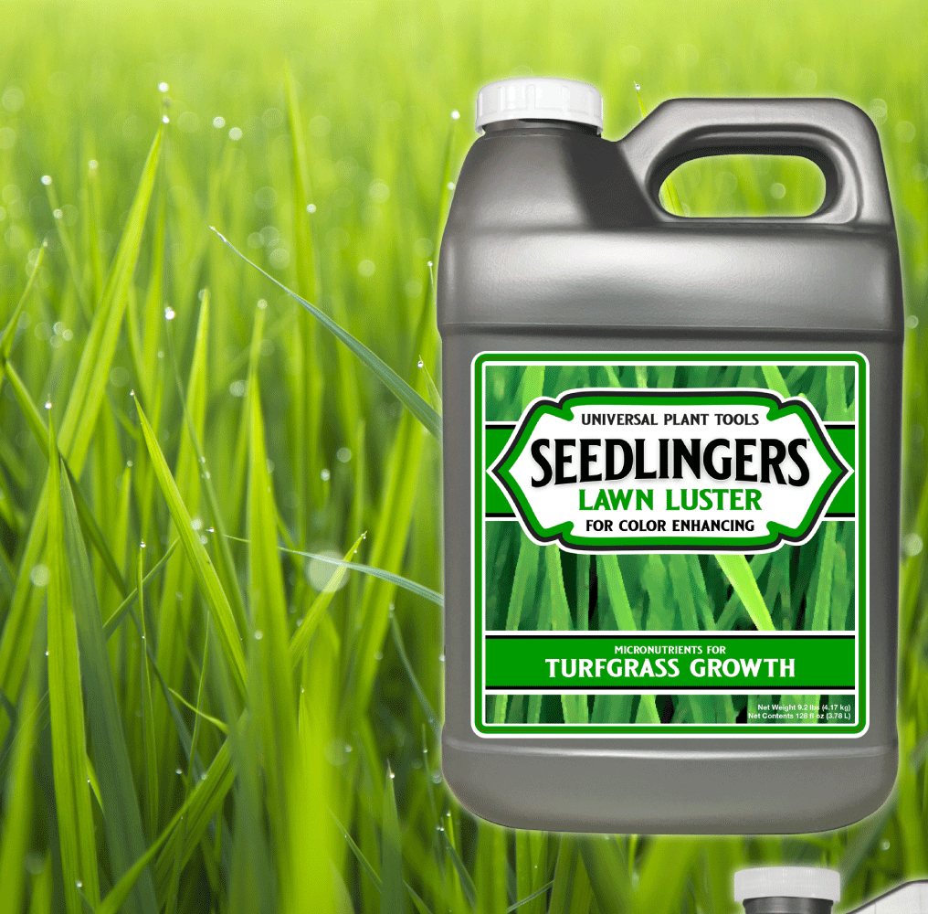 Seedlingers Lawn Luster | Micronutrient Turf Booster