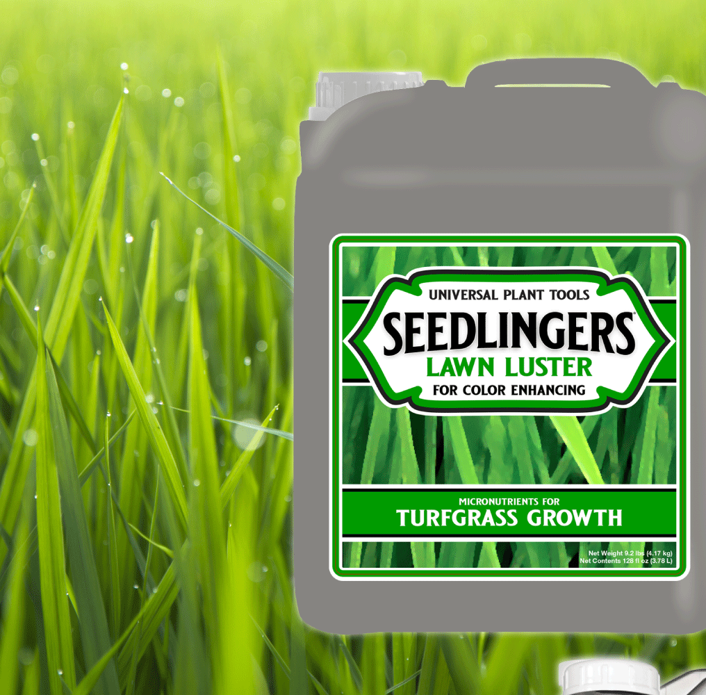 Seedlingers Lawn Luster | Micronutrient Turf Booster