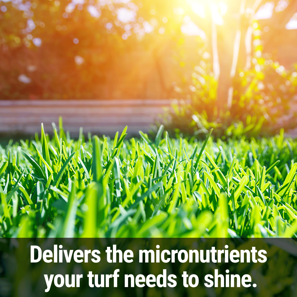 Seedlingers Lawn Luster | Micronutrient Turf Booster