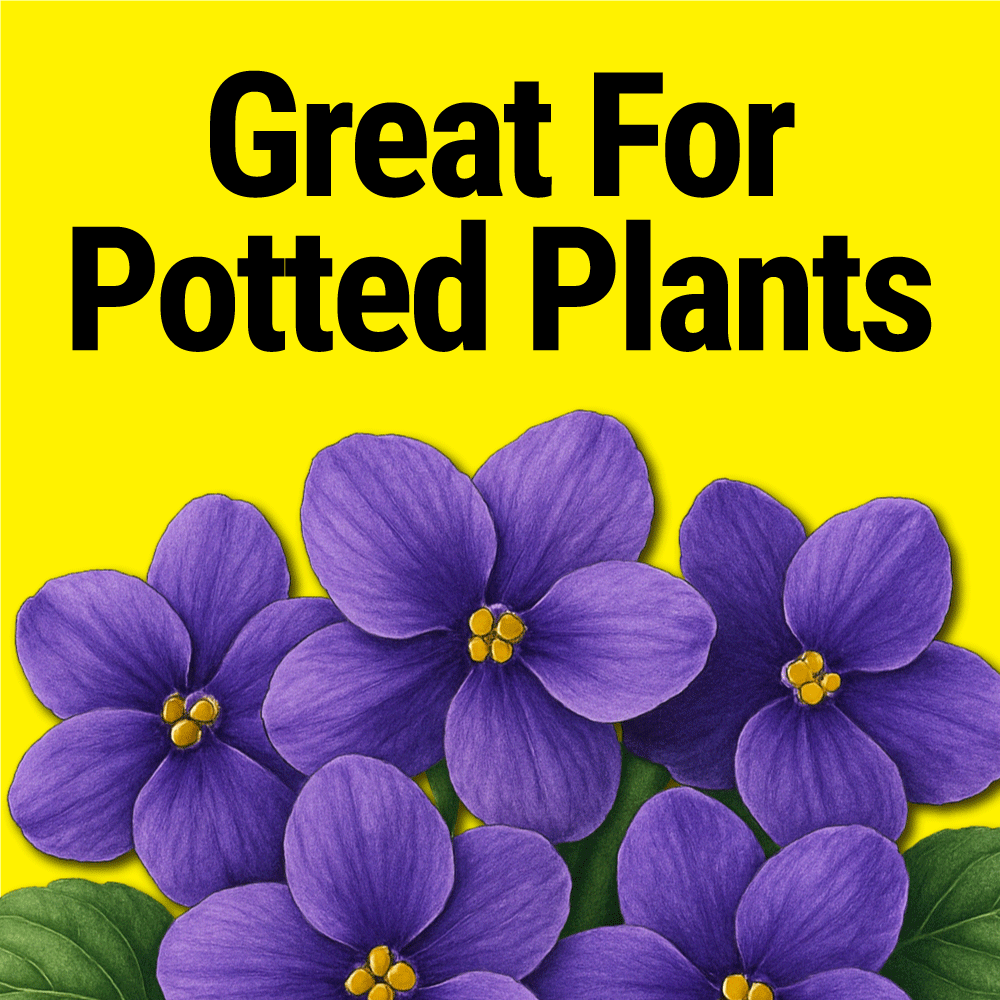 Seedlingers Pour & Grow | Ready-to-Use Plant Food