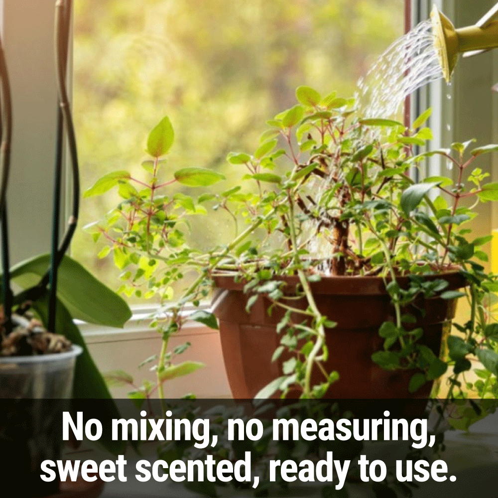 Seedlingers Pour & Grow | Ready-to-Use Plant Food