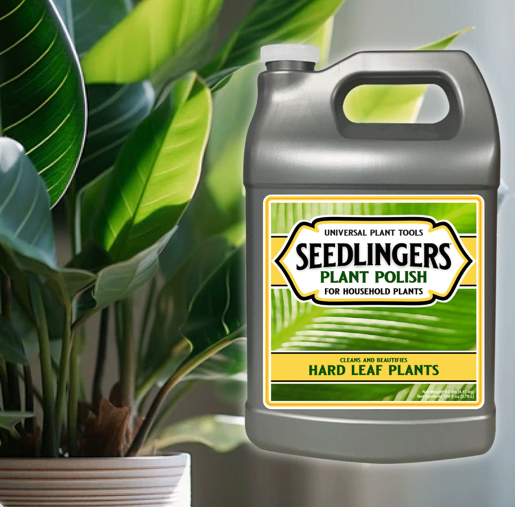Seedlingers Plant Polish |