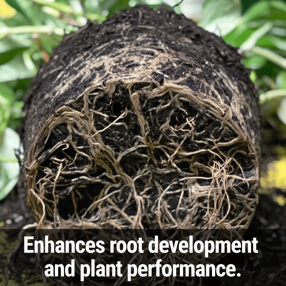 Seedlingers Root Boost | Plant Starter & Root Stimulator