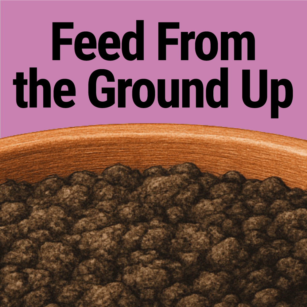 Seedlingers Sprinklets | All-Natural Granular Plant Fertilizer