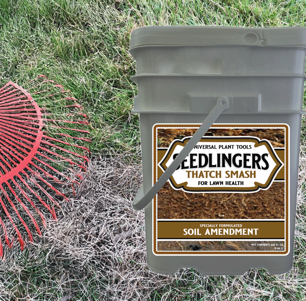 Seedlingers Thatch Smash | Probiotic Lawn Soil Builder