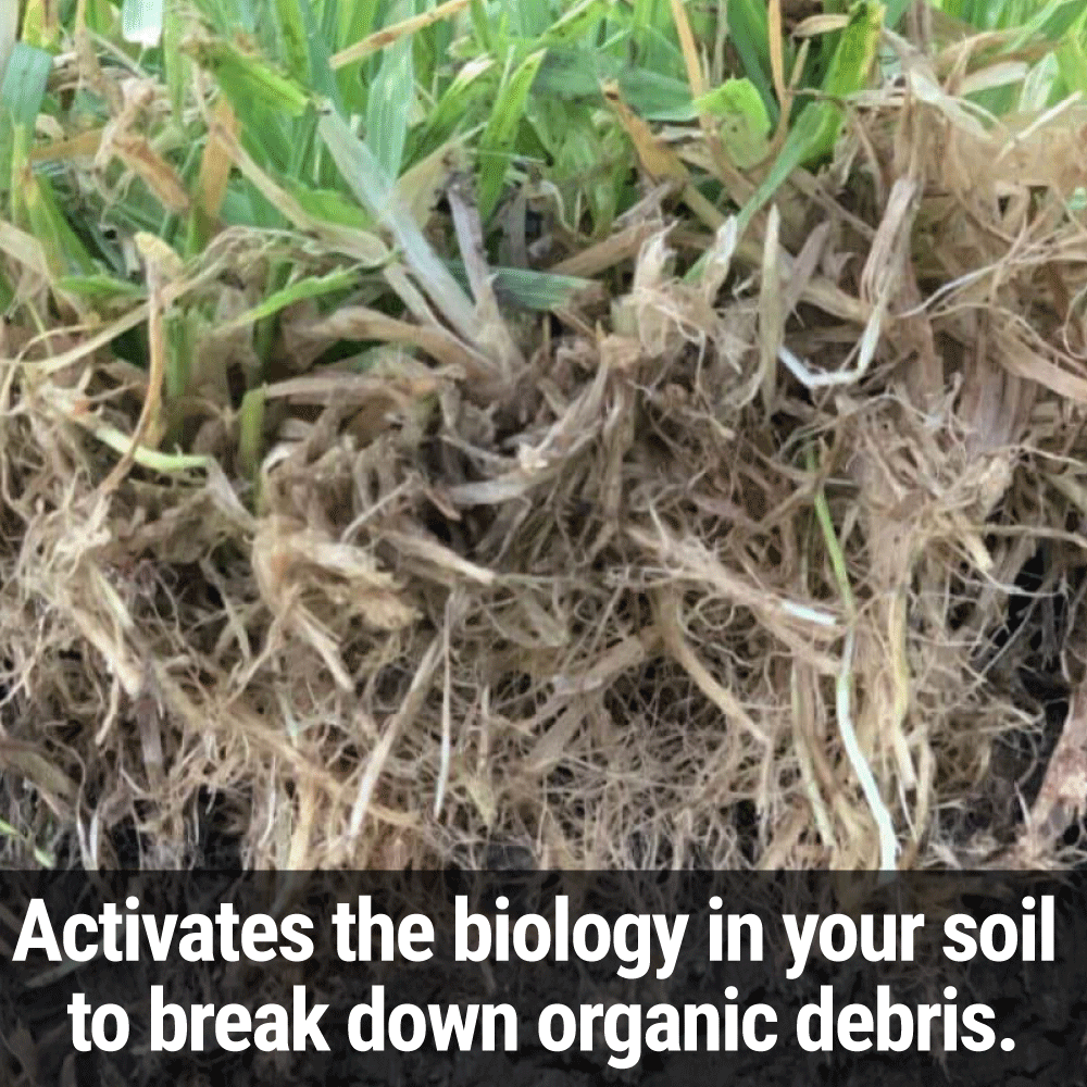 Seedlingers Thatch Smash | Probiotic Lawn Soil Builder