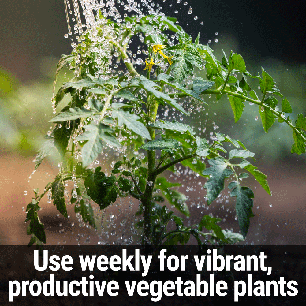Seedlingers Tomato Food | Calcium-Powered Veggie Fertilizer