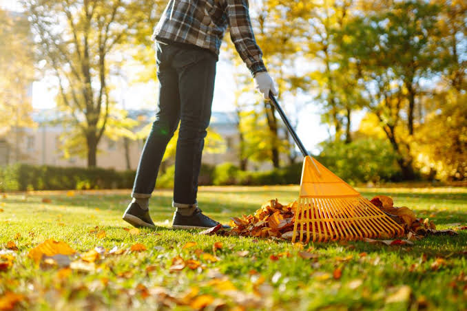 Fall cleanup checklist for your yard
