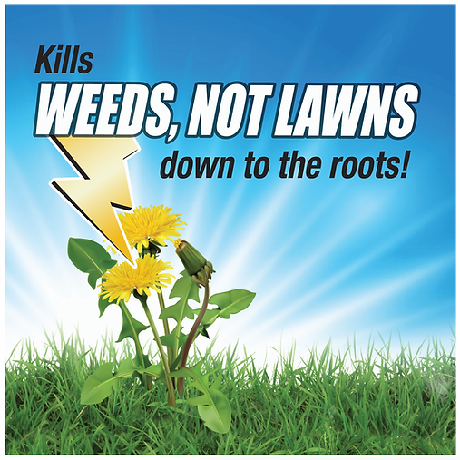 Pulverize Weed Killer for Lawns Concentrate