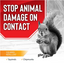 Squirrel Stopper Spray | Natural Squirrel & Chipmunk Repellent