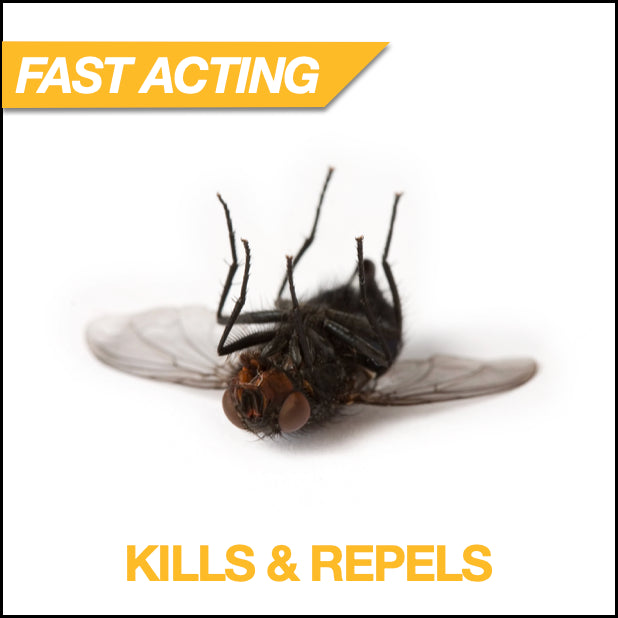 Deplete Indoor Insecticide Ready-to-Use