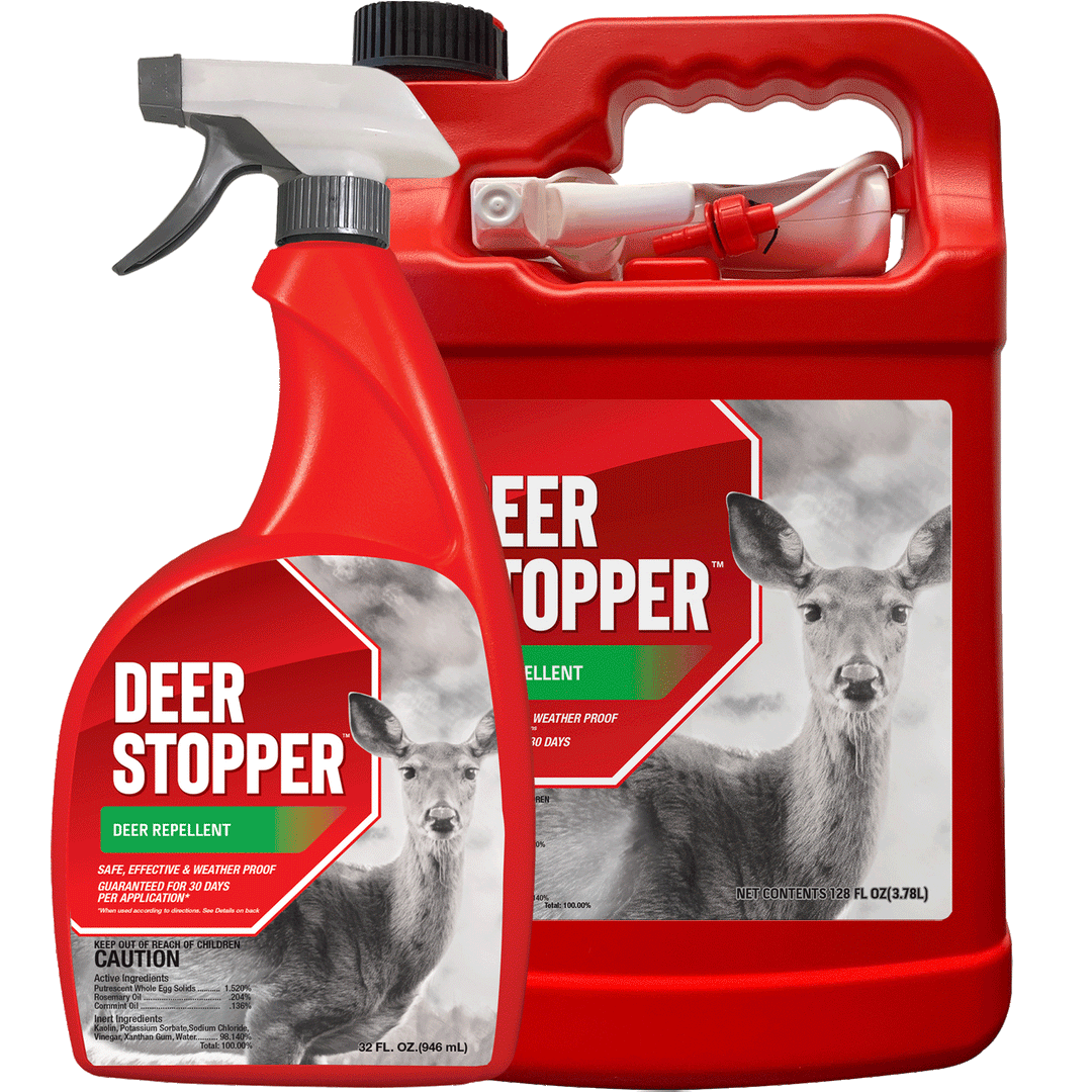 Messinas Deer Stopper Small Animal Liquid Repellents